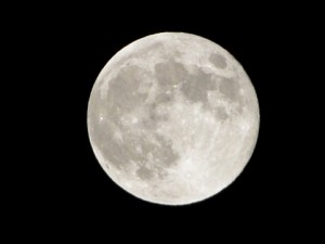月見団子の時期の満月
