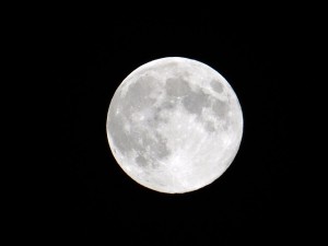 full-moon-71556_640