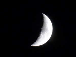 moon-186182_640