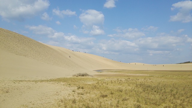 日本三大砂丘の鳥取砂丘