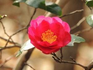 a0960_005390