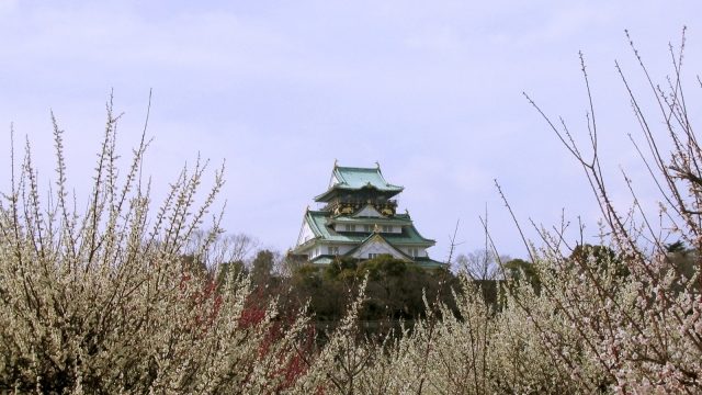 真田幸村に縁のある大坂城