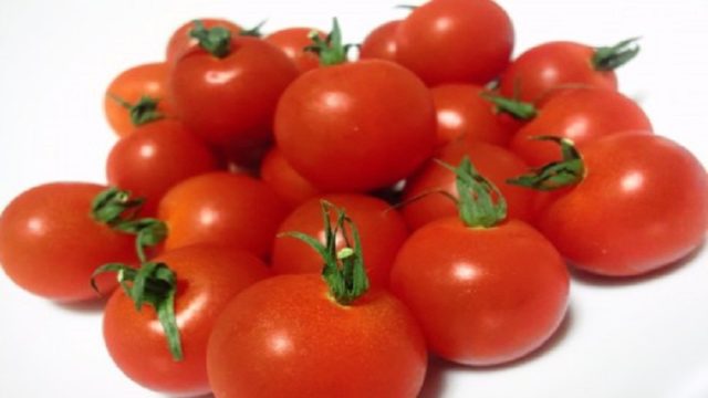 夏野菜の代表格のトマト