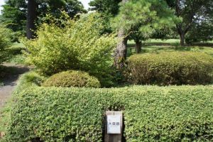 月光院が生活した江戸城の大奥跡