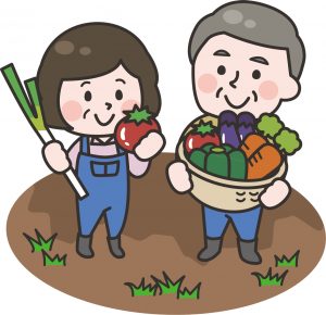 野菜を収穫する農家のイラスト