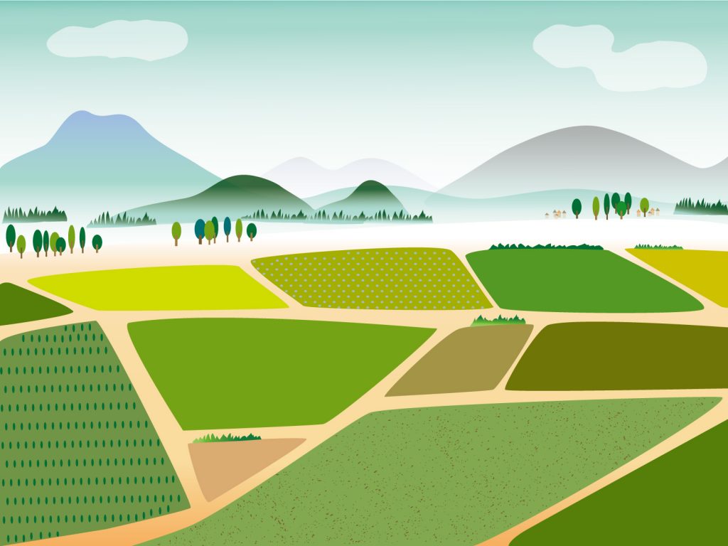 畑の風景のイラスト