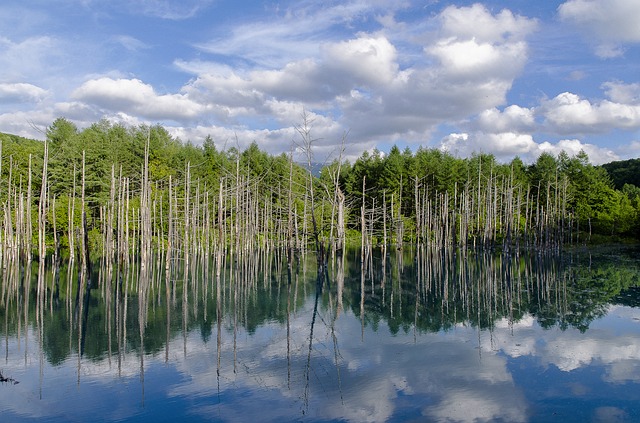 北海道の景色