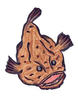 アンコウのイラスト
