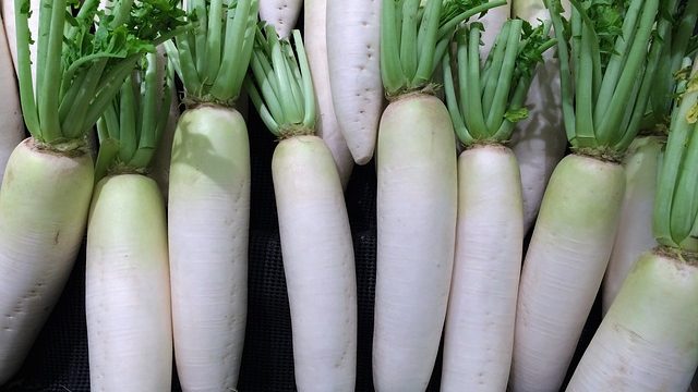 冬が旬の野菜15種類とは 有名なものでもこんなにあった 気になる話題アラカルト