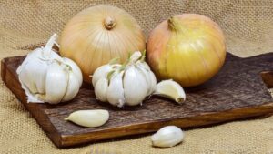 秋に種から育てる野菜の玉ねぎとにんにく