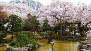 小丸山城址公園