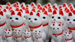 縁起のいい動物の猫(招き猫)