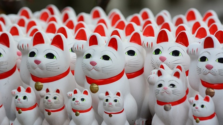 縁起のいい動物の猫(招き猫)